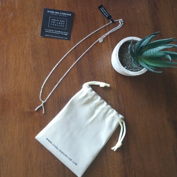 Sterling Forever Jewelry - Silver wishbone necklace